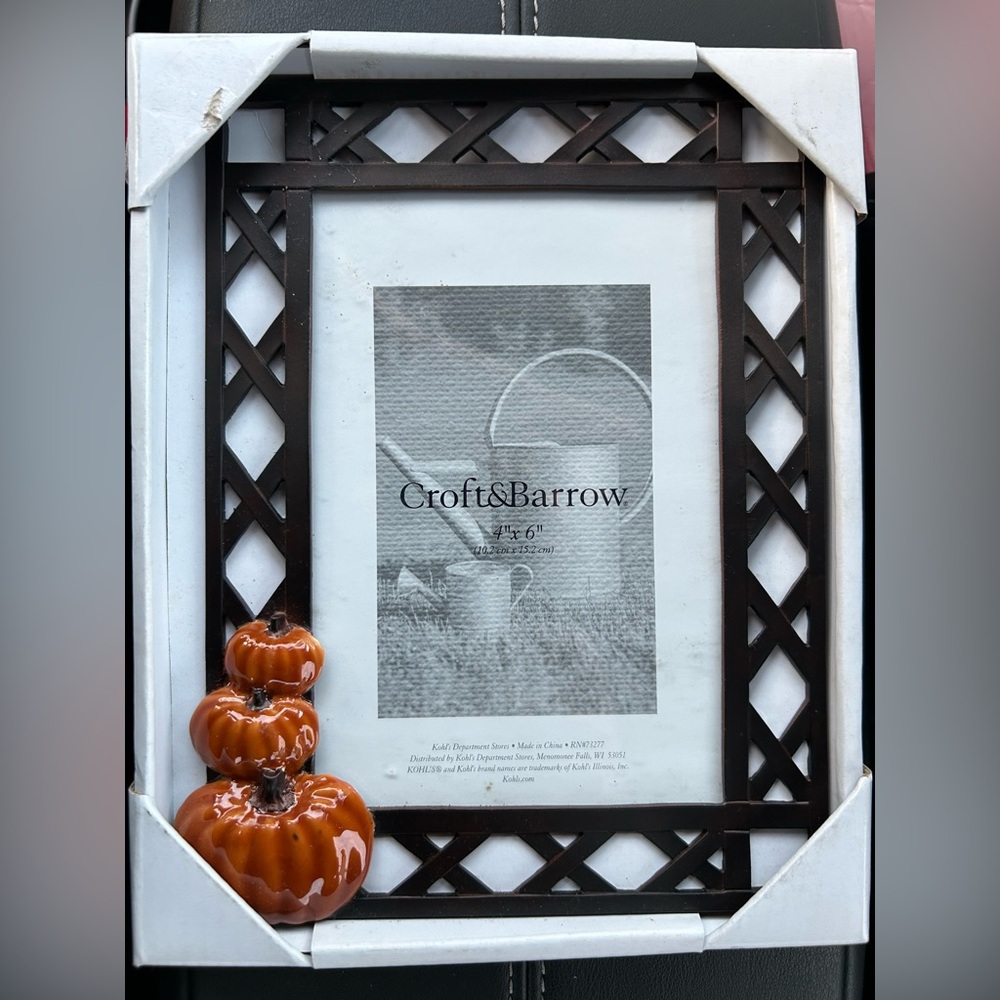 Croft & Barrow Fall Picture Frame